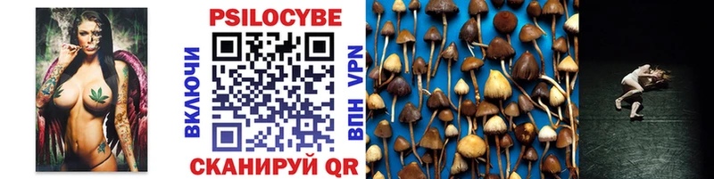 МЕГА ТОР  Звенигород  Псилоцибиновые грибы Psilocybe 